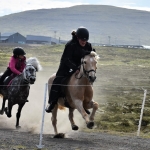 Mynd: Føroya Ríðingarfelag