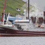 Grønlendskt uppsjóvarskip landað til Pelagos