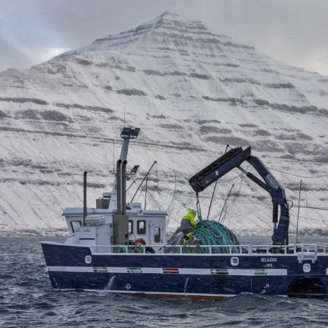 Rakstrarúrslitið hjá Bakkafrost fyri fyrsta hálvár í 2018 var 676 mió. krónur