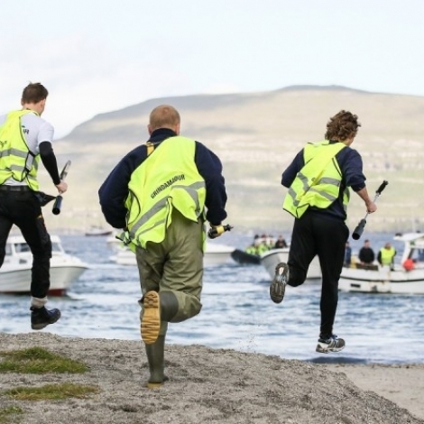 Seðlarnir koma út klokkan 19