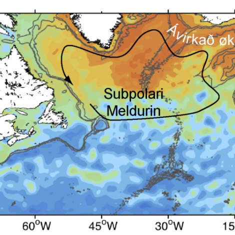 Subpolari meldurin er styrknaður