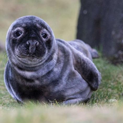 Løgreglan: - Latið nósarnar fáa frið