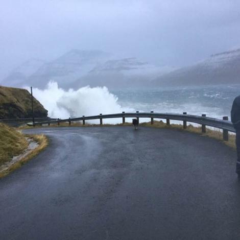 Nógvur vindur kring landið