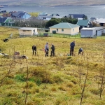 Plantaðu 1000 trø á Sevmýri í dag