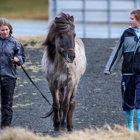 Størst fólkavøkstur í Tórshavn og Eysturoy