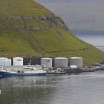 Arctic Voyager og Hoyvík landað til Pelagos í Fuglafirði