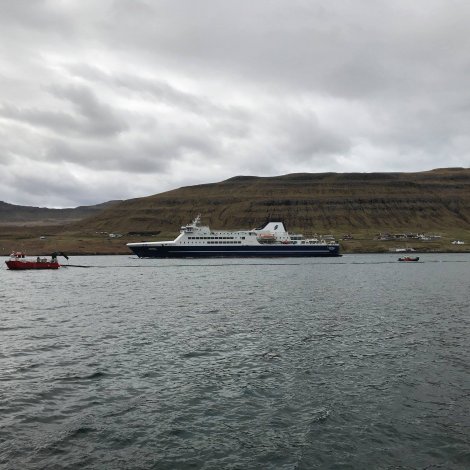 Óvanligt virksemi á fjørðinum á Tvøroyri