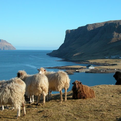 Sirið Stenberg hevur sett yvirfriðingarnevnd og friðingarnevndir av nýggjum