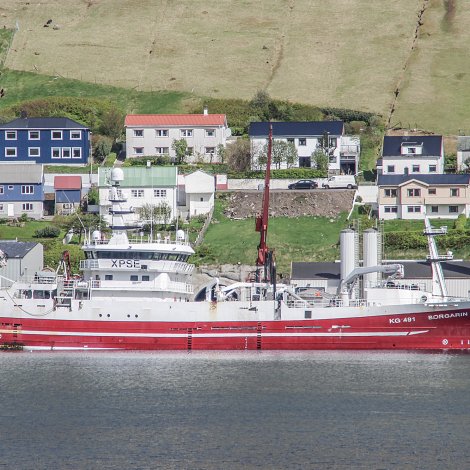 Borgarin komin á Fuglafjørð við 2400 tonsum av svartkjafti