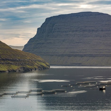 Video: Vitan til varandi aling verður 31. oktober