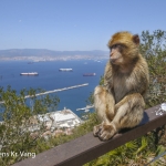 Myndir: Millum apur og dropasteinspípur á Gibraltar