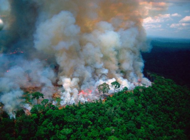 Skógareldur í Amazonas (Mynd: EPA)