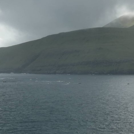 Til Vestmanna við grindini ístaðin