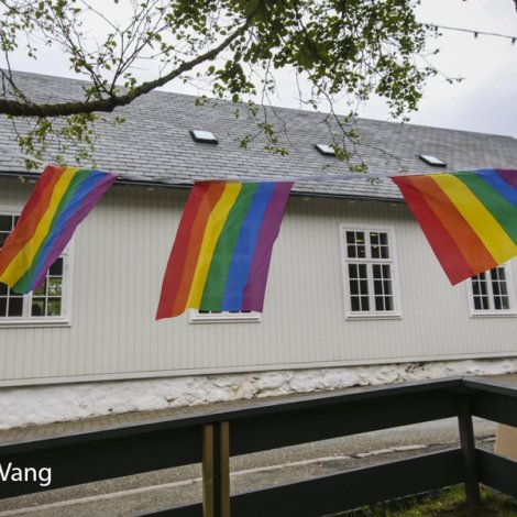 Samfaðirskapur: LGBT Føroyar fegnast