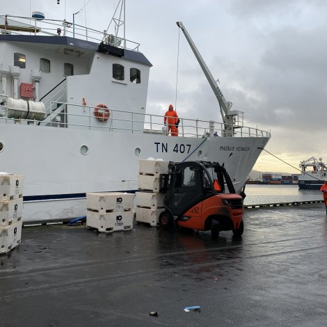 Nógv lodna fingin inni á firðunum