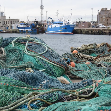 Brexit Day 1: Ruðuleiki og ólógligur fiskiskapur