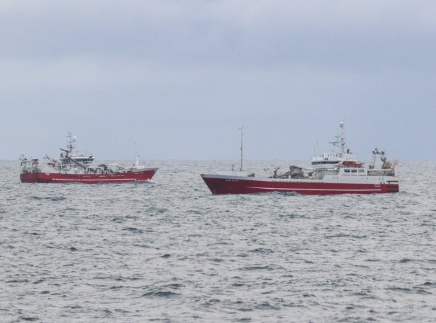 Uppsjóvarskip til fiskiskap (Savnsmynd: Kiran Jóanesarson)