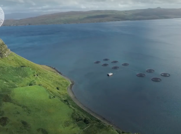 Ein av umleið 60 alistøðum hjá SSC í vestara parti av Skottlandi (Mynd: scottishsalmon.com)