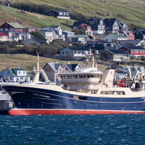 Gøtunes við 200 tonsum av makreli á Tvøroyri