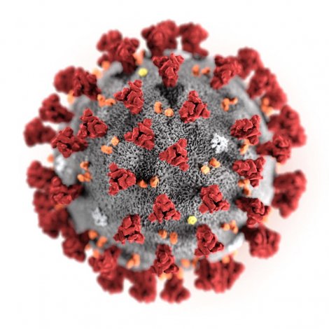 Coronavirus: 500 smittað í kinesiskum fongslum