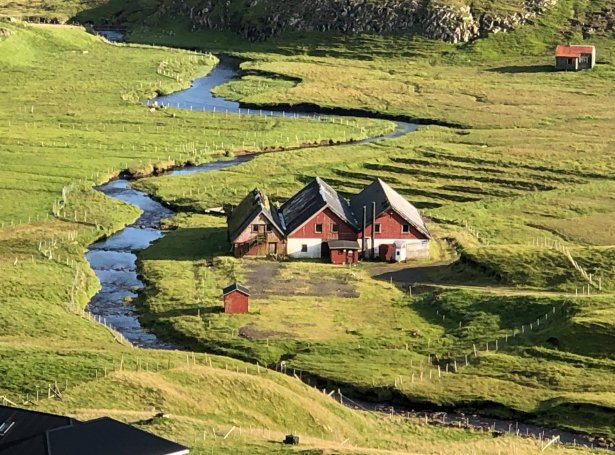 (Mynd: Suðuroyar Hestafelag)
