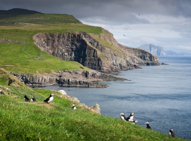 (Mynd: Alessio Mesiano / Visit Faroe Islands)