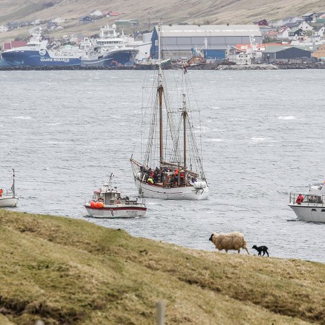 Myndir: Konvoysigling á Skálafjørðinum