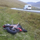 Seyður leyp út fyri motorsúkklu tætt við Brúnna við Streymin