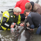 Merktu grindirnar ferðast vestureftir