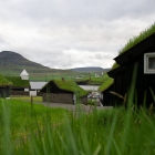 Tróndardagur í Norðragøtu komandi leygardag