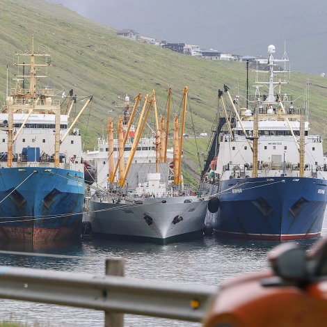 Russland umhugsar at seta bann fyri føroyskum fiskavørum