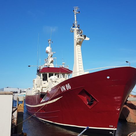 Túgvusteinur ávegis heim úr Skagen