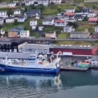 Finnur Fríði landar makrel til Havsbrún