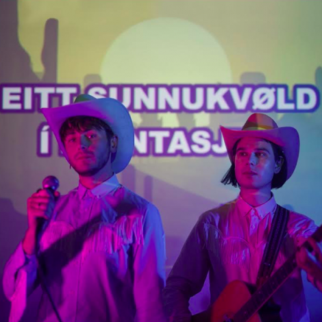 Kóboykex tulkar Eitt sunnukvøld í plantasjuni í cowboystíli