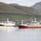Borgarin og Norðingur skulu landa 1.400 tons til Havsbrún
