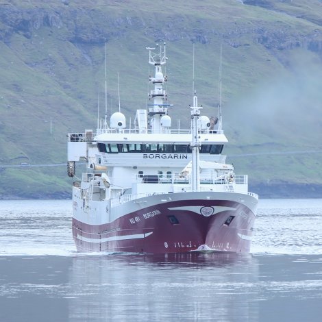 Borgarin skal landa 1100 tons í Kollafirði