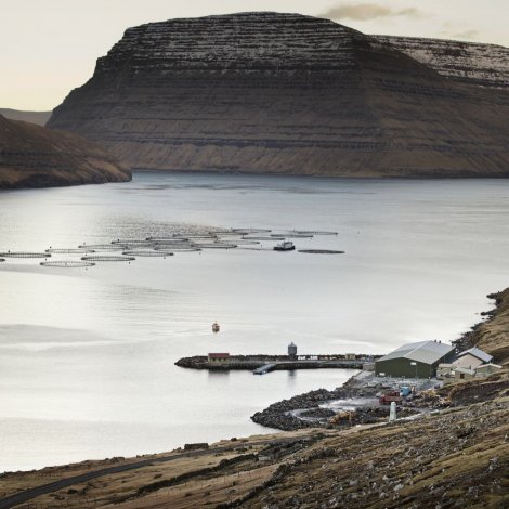 Bakkafrost: Rakstrarúrslitið var 120 milliónir í fjórða ársfjórðingi