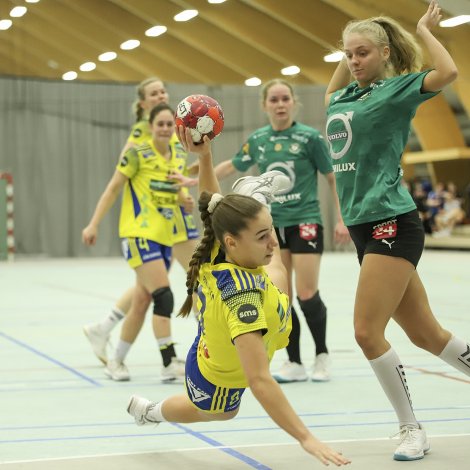 (Mynd: Sverri Egholm)