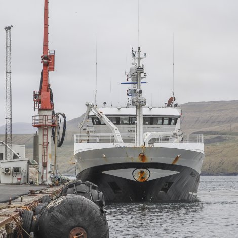 Christian landar sild í Kollafirði