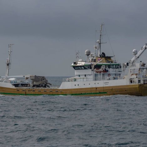 Norskt uppsjóvarskip skal landa makrel í Kollafirði