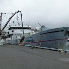 Sandshavið landar í Havn