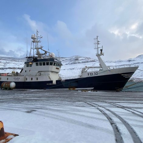 Stapin selur á Fiskamarknaðinum