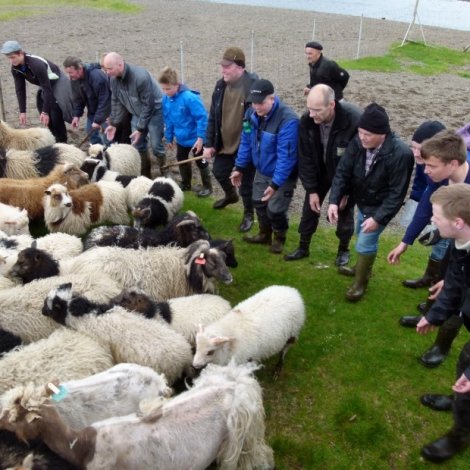 Búnaðarstevnan verður 19. februar