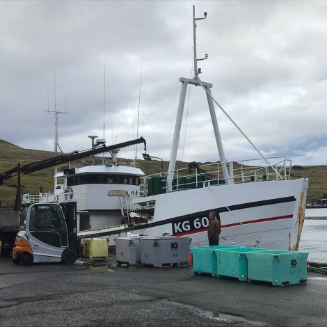 21 útróðrarbátar selja á Fiskamarknaðinum