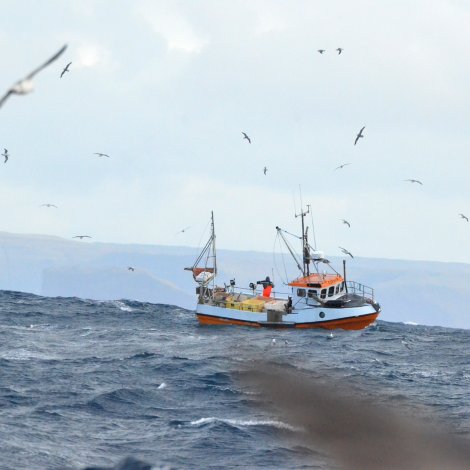 Fiskamarknaðurin metir um viku 13