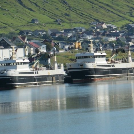 Stjørnan og Pollarhav fara nú á gulllaksaveiðu