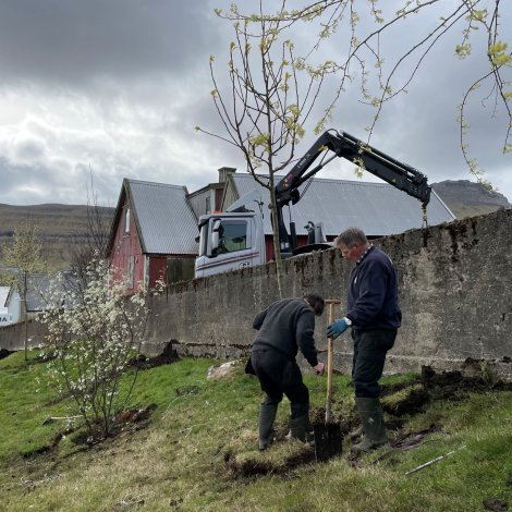 Tvøroyri: Miðbýurin gerst grønari