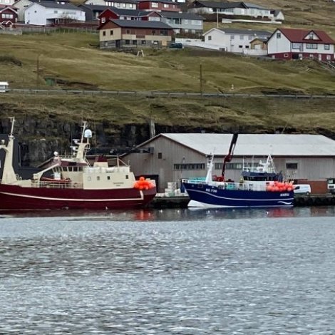 Túgvusteinur landar í Havn