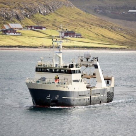 Hambrnes og Breiðanes landaðu í gjár