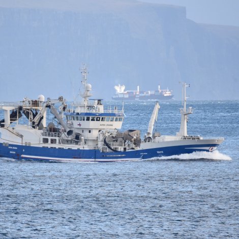 Katrin Jóhanna landar til Havsbrún í morgin